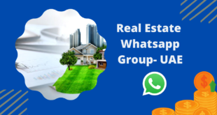 Real Estate Whatsapp Group
