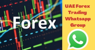 UAE Forex Trading Whatsapp