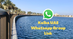 Kalba UAE Whatsapp Group